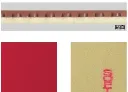 NR-8561 FLYATT SOFT_2.webp