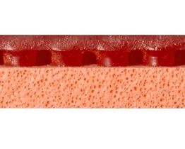 HURRICANE P3 T ORANGE - 3