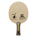 ACOUSTIC G-REVISION - 4