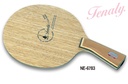 TENALY ACOUSTIC